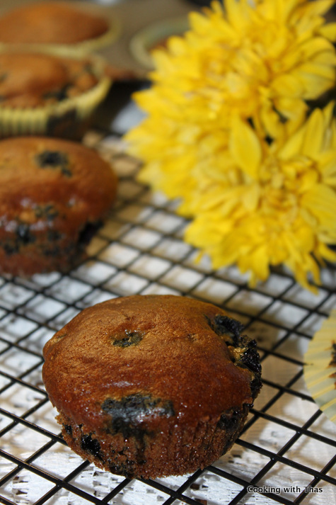 blueberry muffins