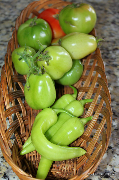 veggie harvest