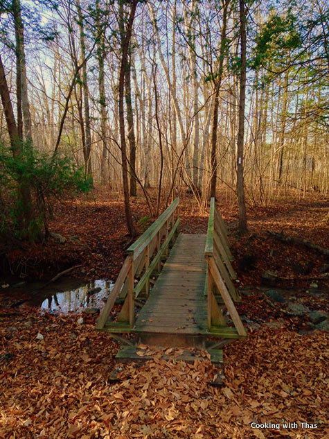 Komoka Trail