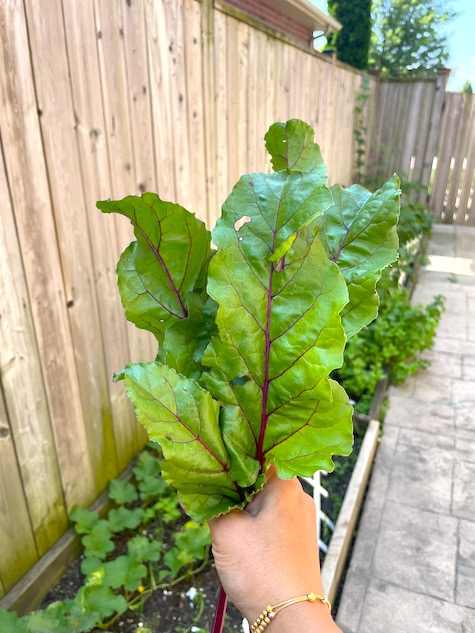 Beetroot Leaves Pulissery Cooked With Coconut Yogurt Kerala Recipe 