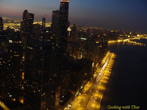 Chicago skyline view