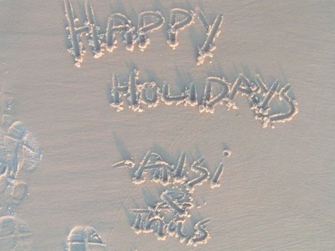 Happy Holidays