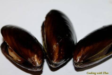 Mussels