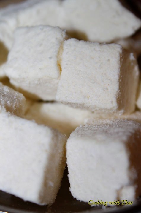 Paneer