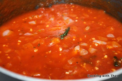 Lasagna tomato sauce