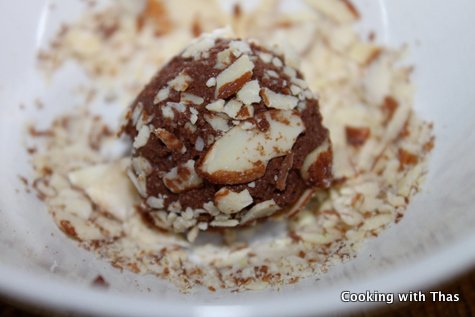 chocolate truffle covered in almonds
