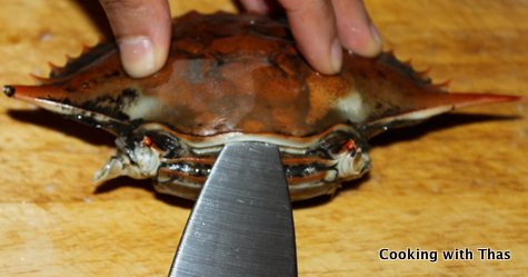 Cleaning_crab