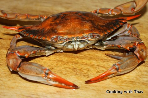 Crab