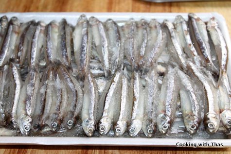 anchovy