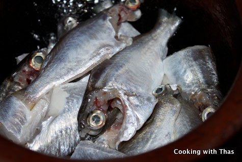 malabar trevally