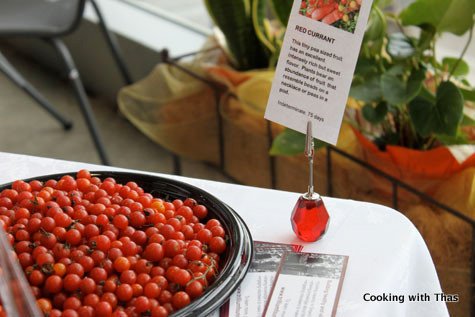 red currant tomatoes