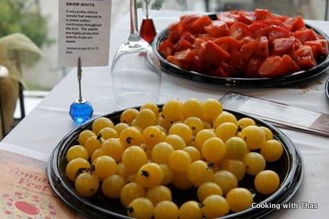 snow white tomatoes