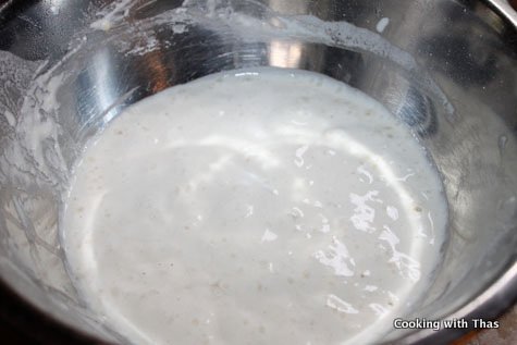 fermented batter