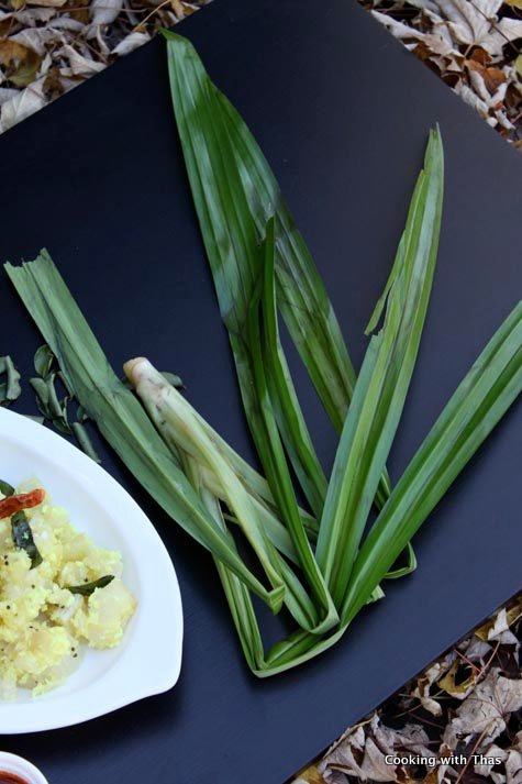 Pandan leaves