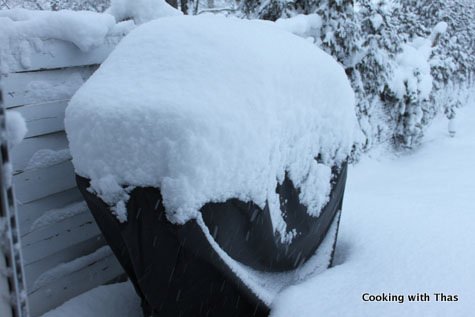 frozen grill