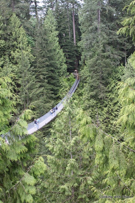 bridge