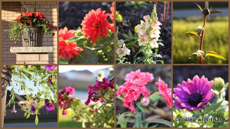 flowers