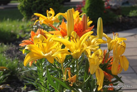 lilies