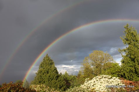 rainbow