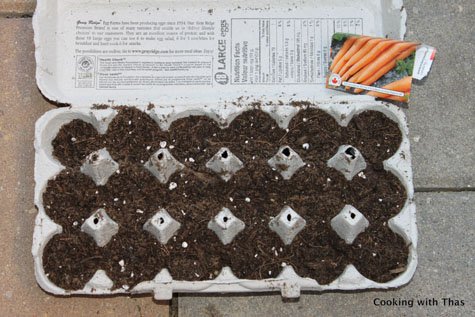 seeds in egg cartons