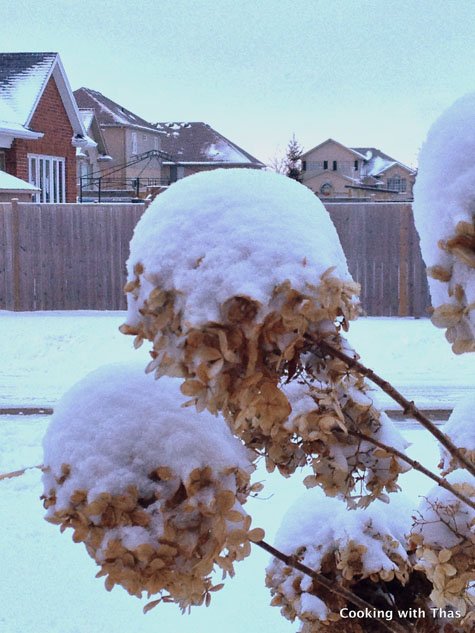 snow