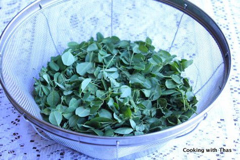 drumstick leaves