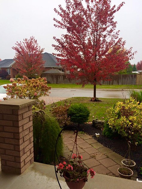 fall colors in oct
