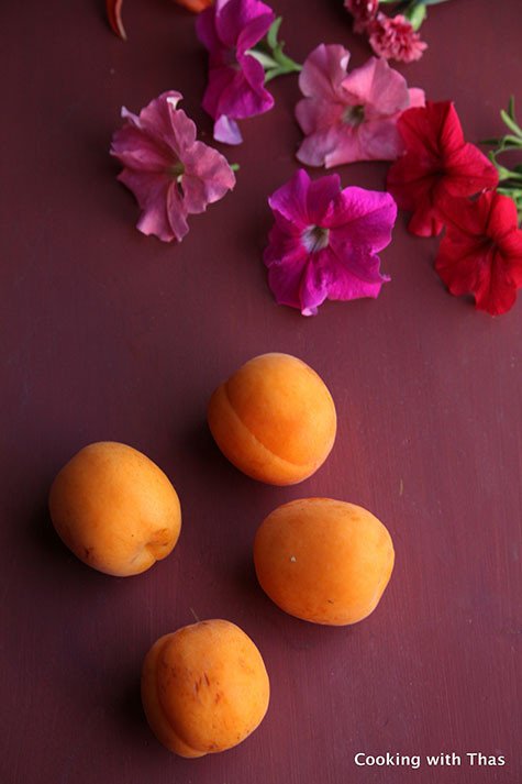 Apricot